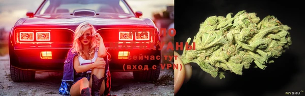 молекула духа Алексеевка