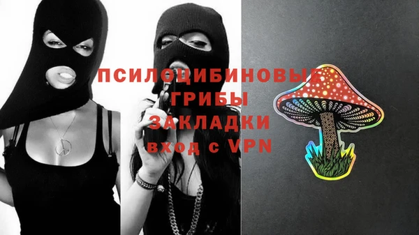 PSILOCYBIN Абдулино