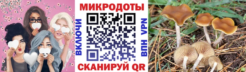 Галлюциногенные грибы Magic Shrooms  Калач 